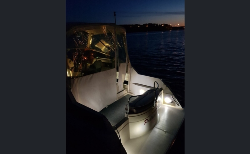 Maxum 2555 SCR-kuva-12